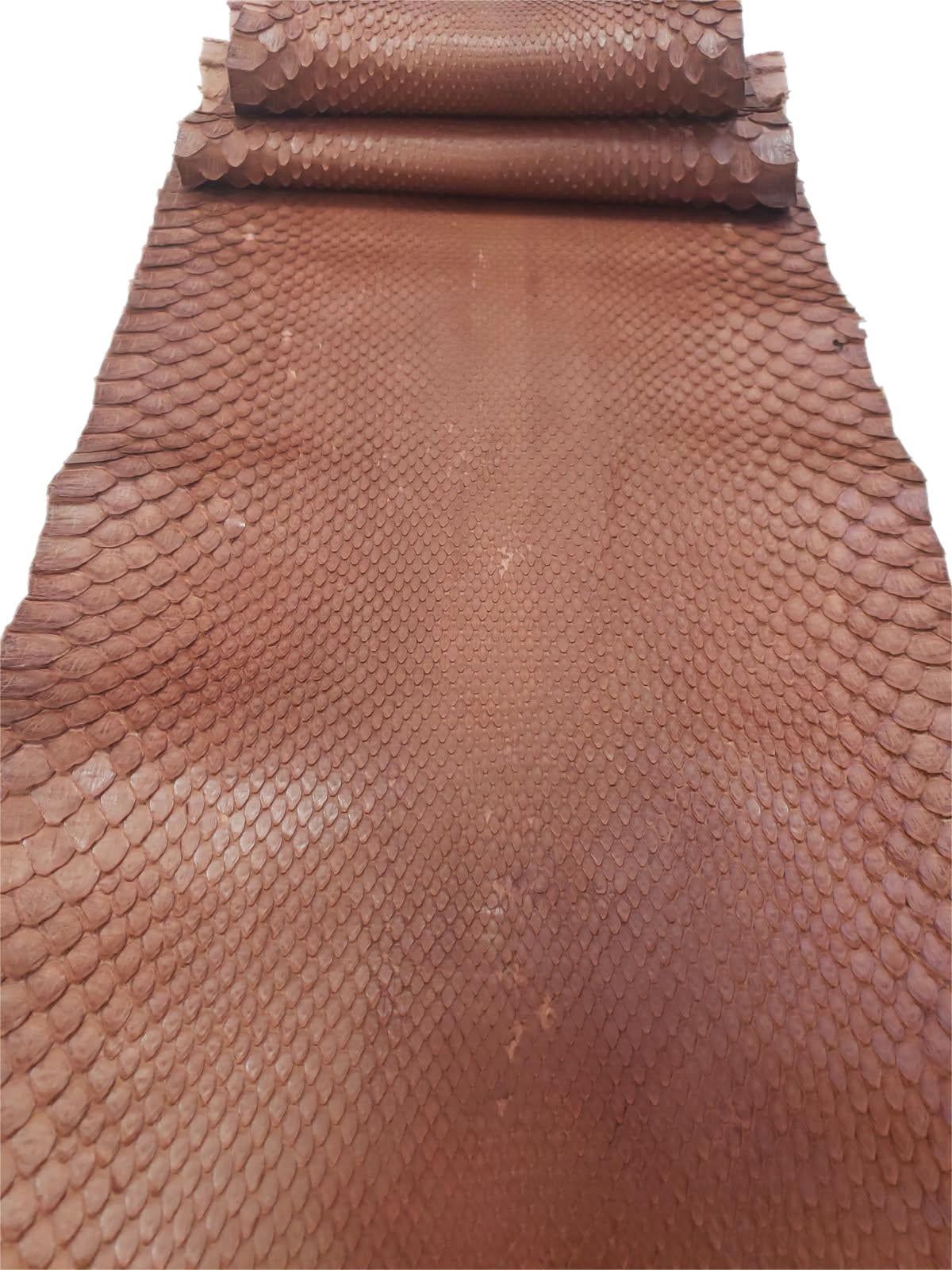 1.2 M Terracotta Matte Front Cut Python Leather