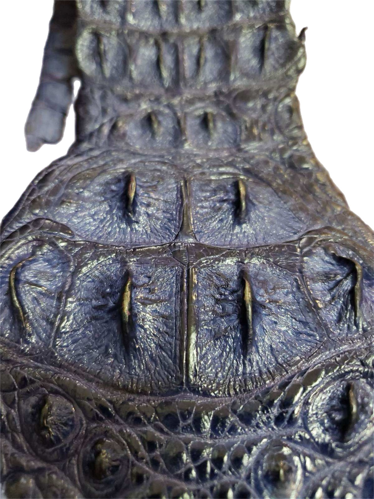 90-99 Cm Grade 1 Fique Matte Nile Crocodile Backstrap Leather