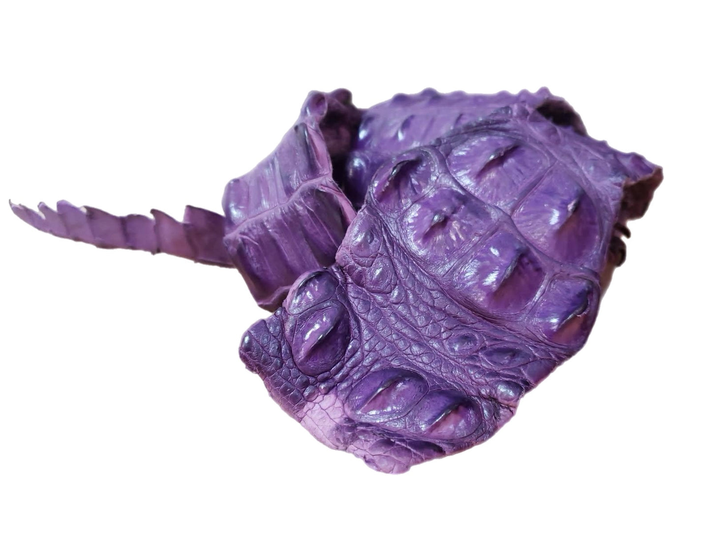 90-99 Cm Grade 1 Windflower Matte Nile Crocodile Backstrap Leather