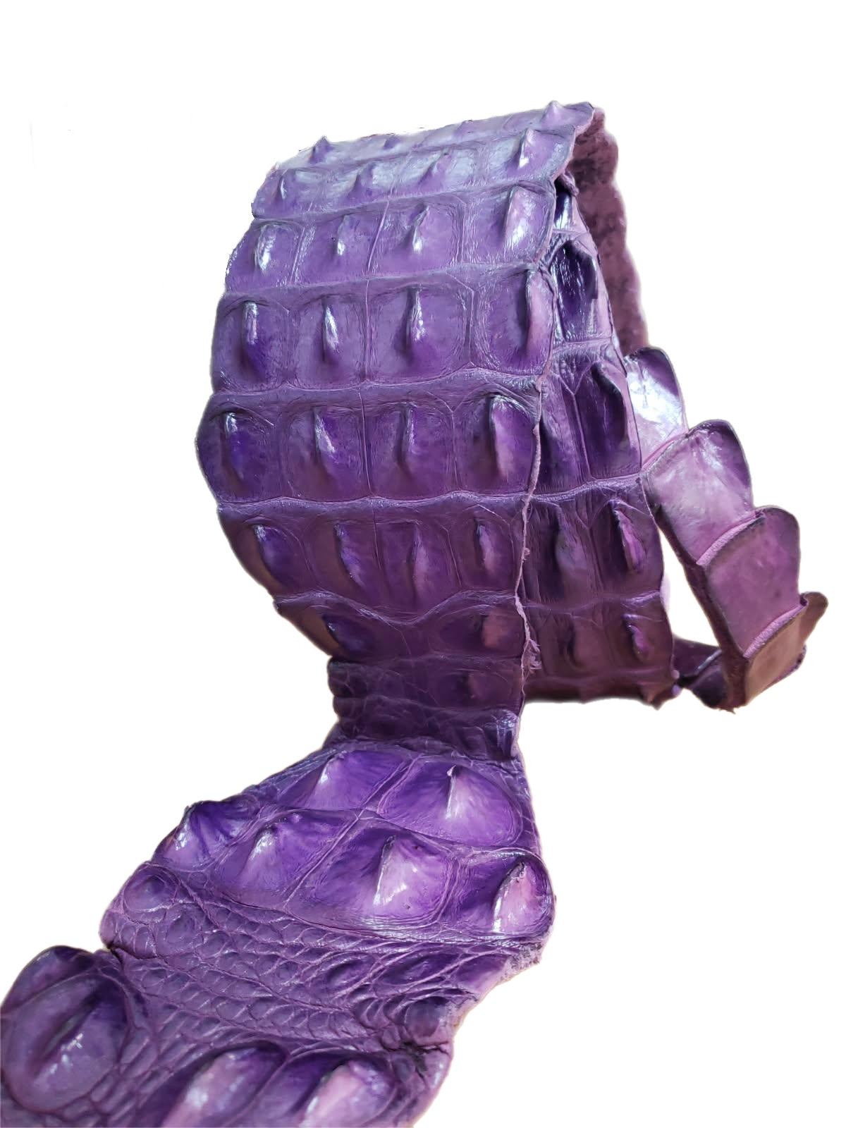 90-99 Cm Grade 1 Windflower Matte Nile Crocodile Backstrap Leather