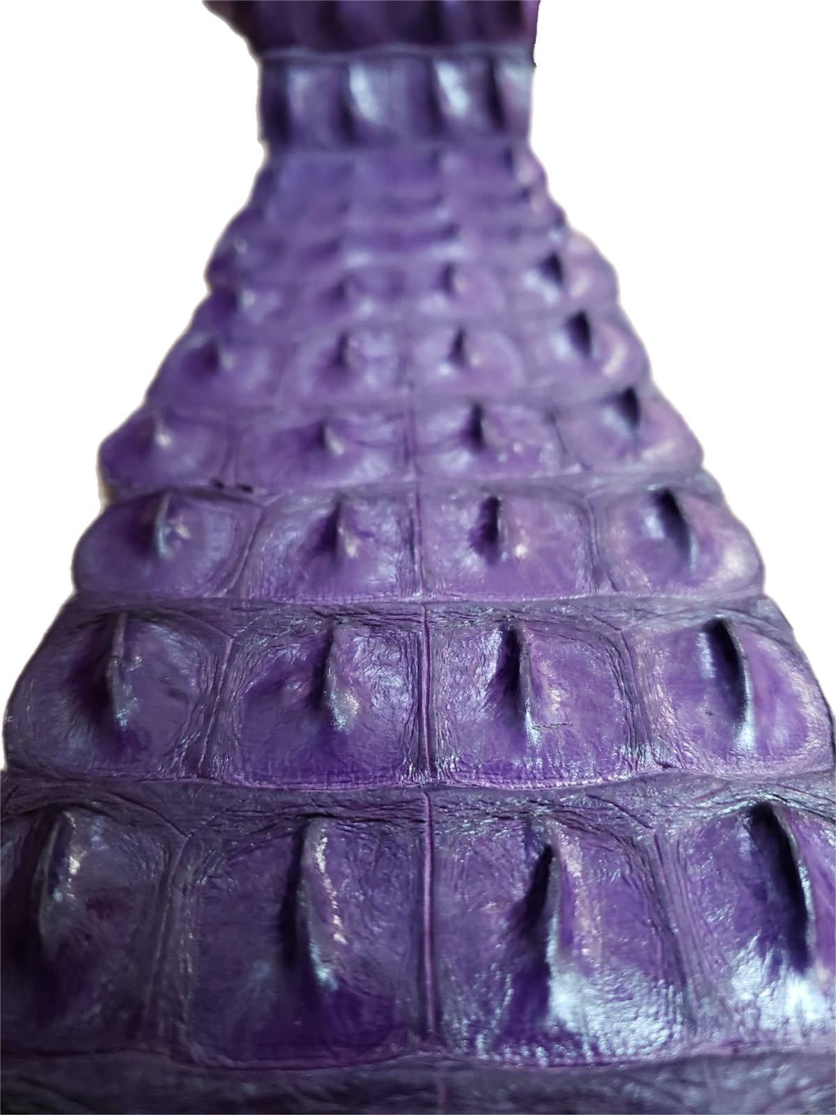 90-99 Cm Grade 1 Windflower Matte Nile Crocodile Backstrap Leather