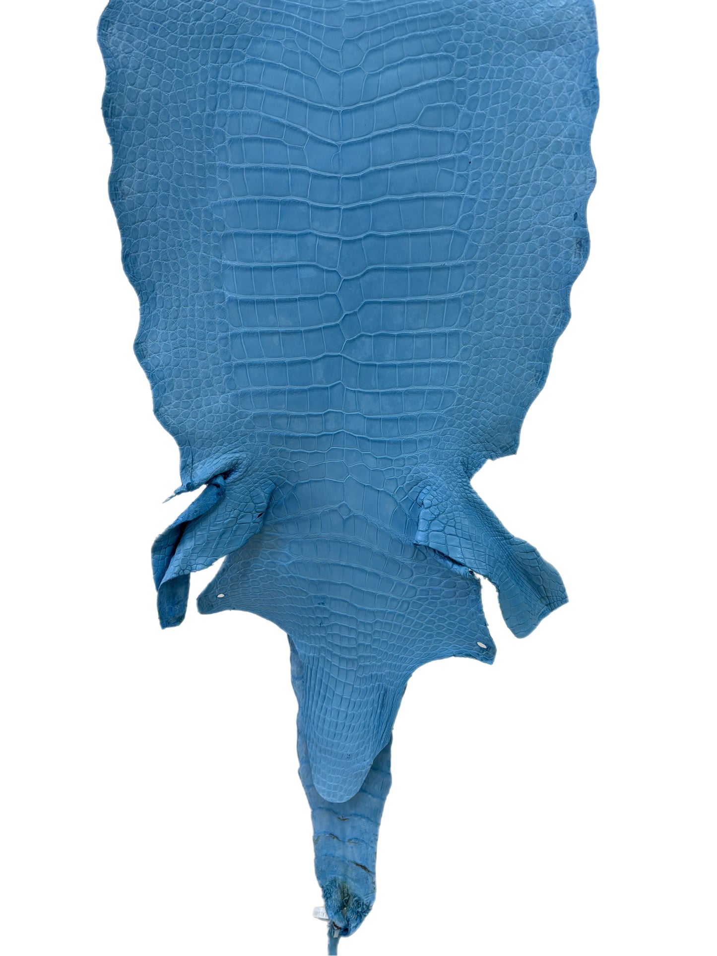 36 cm Grade 2/3 Sky Blue Matte Wild American Alligator Leather - Tag: LA23-0003432