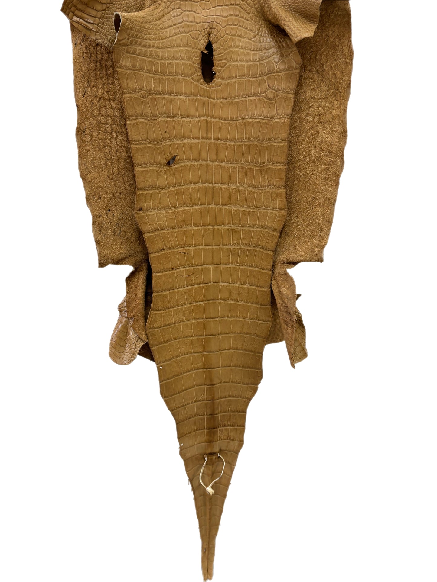 42 cm Grade 3/4 Antique Saddle Matte Wild American Alligator Leather - Tag: LA17-0034612