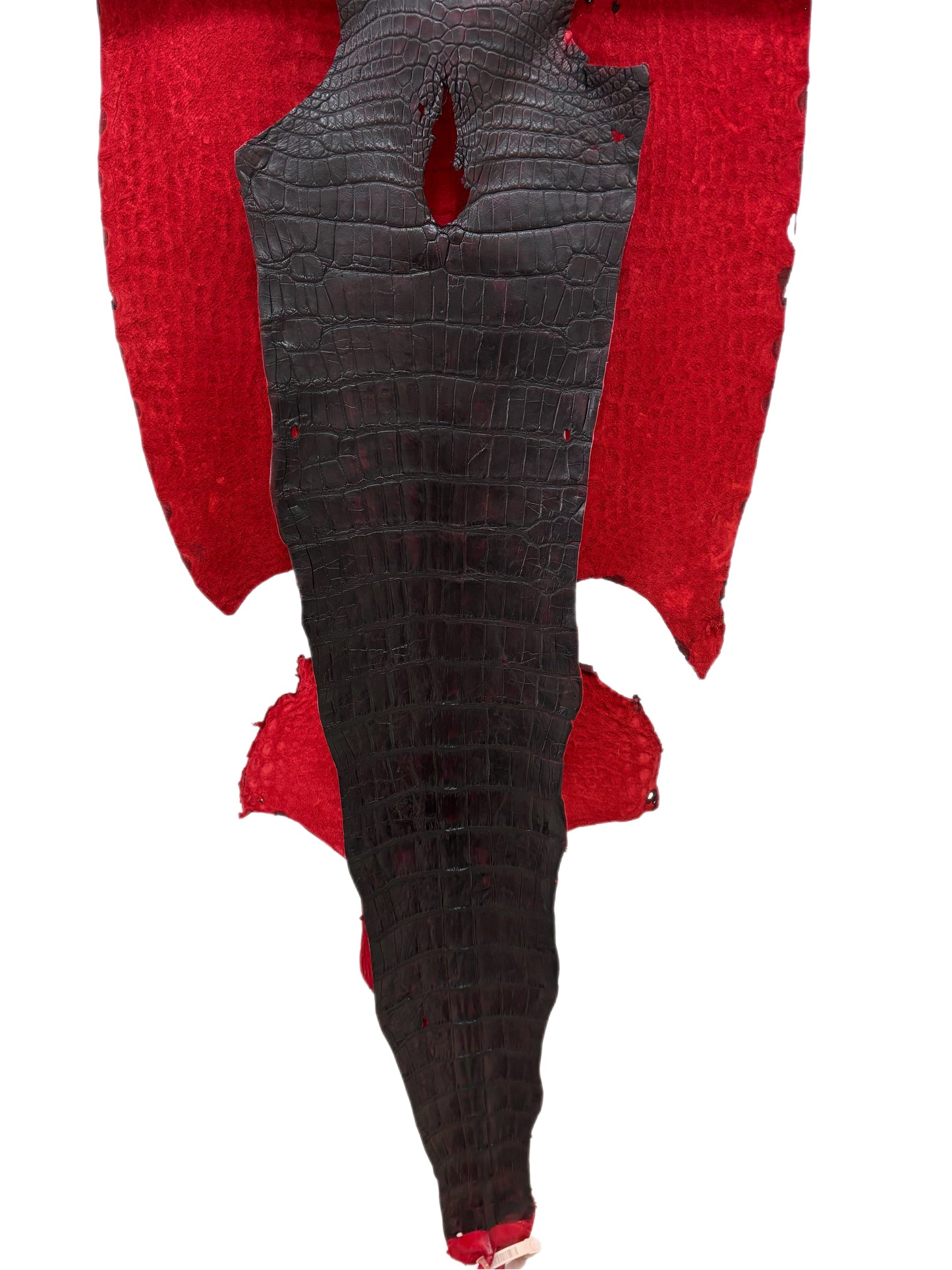 44 cm Grade 3/4 Black Cherry Matte Wild American Alligator Leather - Tag: LA23-0015408