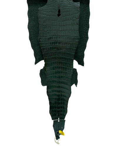 38 cm Grade 1/2 Forest Green Millennium Wild American Alligator Leather - Tag: LA17-0013474