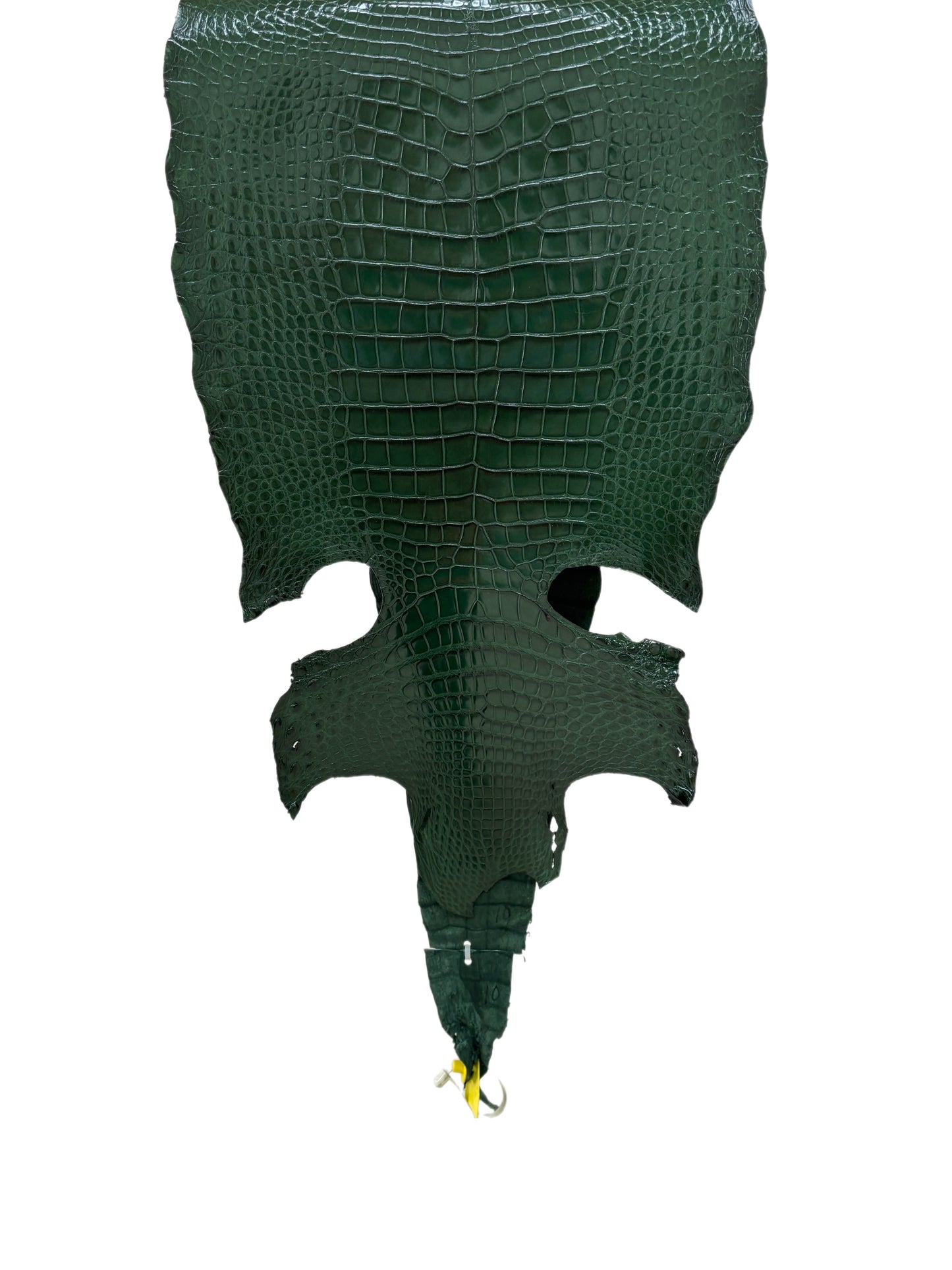 38 cm Grade 1/2 Forest Green Millennium Wild American Alligator Leather - Tag: LA17-0013382