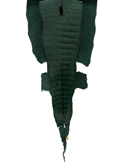 35 cm Grade 1/2 Forest Green Millennium Wild American Alligator Leather - Tag: LA17-0037700