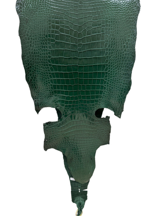 44 cm Grade 1/2 Forest Green Millennium Wild American Alligator Leather - Tag: LA16-0042983