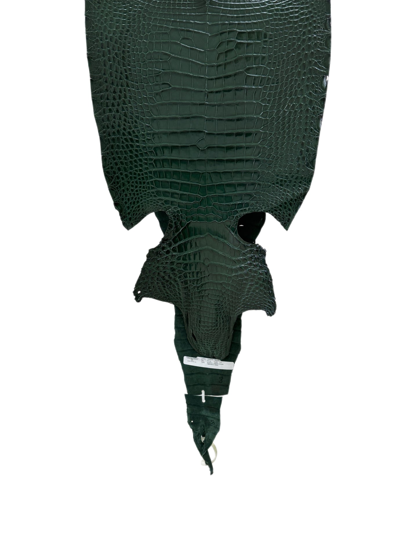 34 cm Grade 1/2 Forest Green Millennium Farm-Raised American Alligator Leather - Tag: FL17-0036952