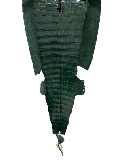 32 cm Grade 1/2 Forest Green Millennium Farm-Raised American Alligator Leather - Tag: FL17-0036513