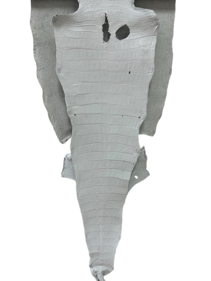 44 cm Grade 2/3 White Matte Wild American Alligator Leather - Tag: MS24-0000773