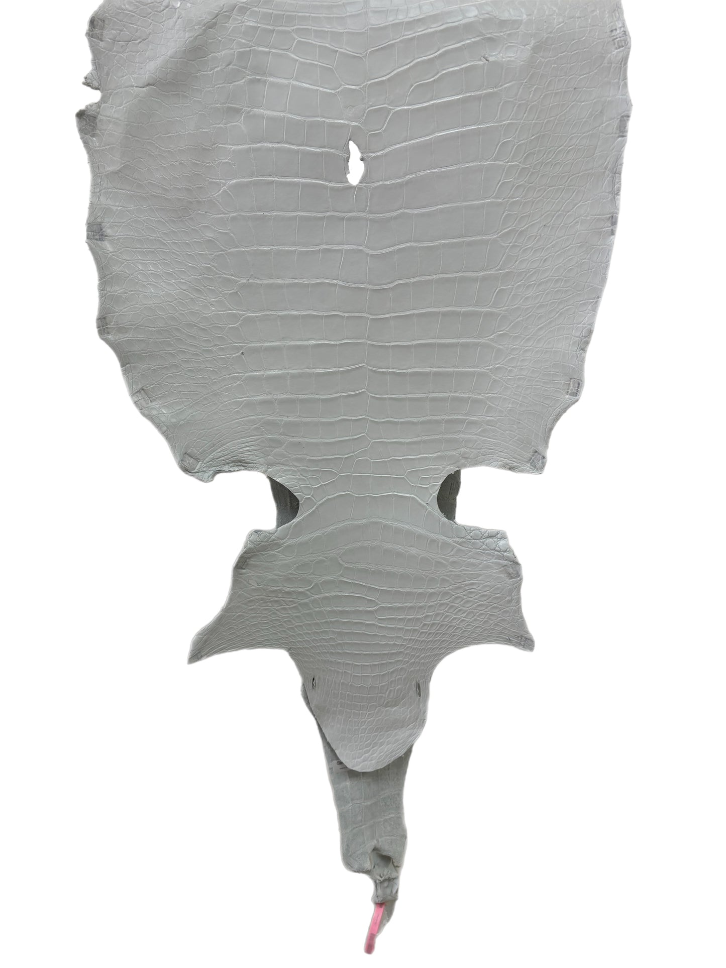 46 cm Grade 4/5 White Matte Wild American Alligator Leather - Tag: MS24-0000618
