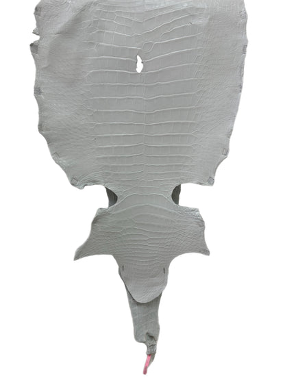 46 cm Grade 4/5 White Matte Wild American Alligator Leather - Tag: MS24-0000618