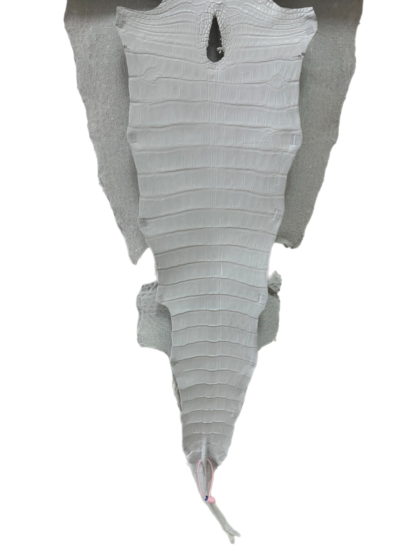 42 cm Grade 2/3 White Matte Wild American Alligator Leather - Tag: LA18-0034939