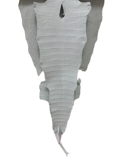 42 cm Grade 2/3 White Matte Wild American Alligator Leather - Tag: LA18-0034939