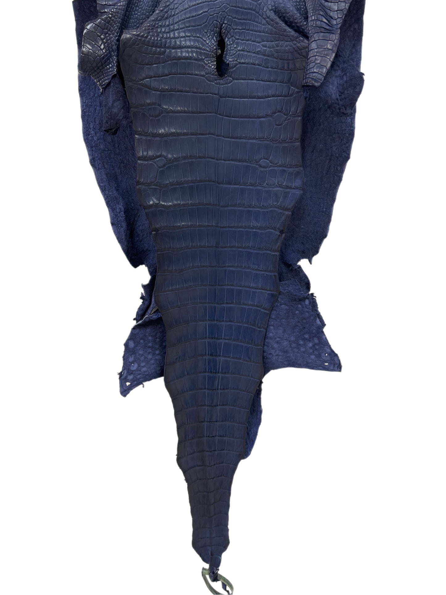 38 cm Grade 2/3 Navy Blue Desert Wild American Alligator Leather - Tag: FL25-0076174