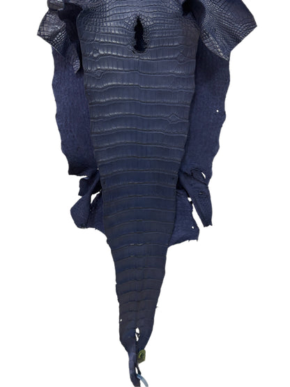 38 cm Grade 2/3 Navy Blue Desert Wild American Alligator Leather - Tag: LA17-0013570