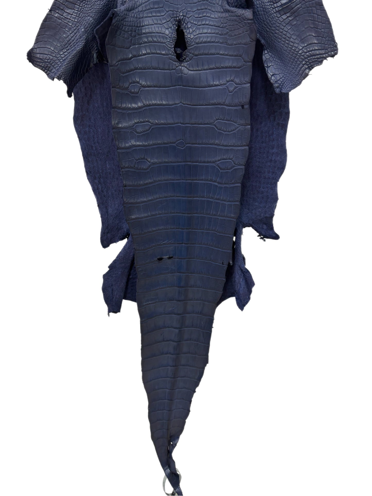 36 cm Grade 1/2 Navy Blue Desert Wild American Alligator Leather - Tag: LA16-0035661