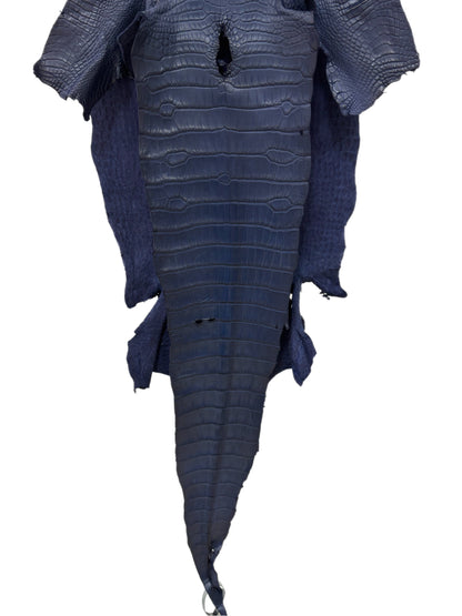36 cm Grade 1/2 Navy Blue Desert Wild American Alligator Leather - Tag: LA16-0035661