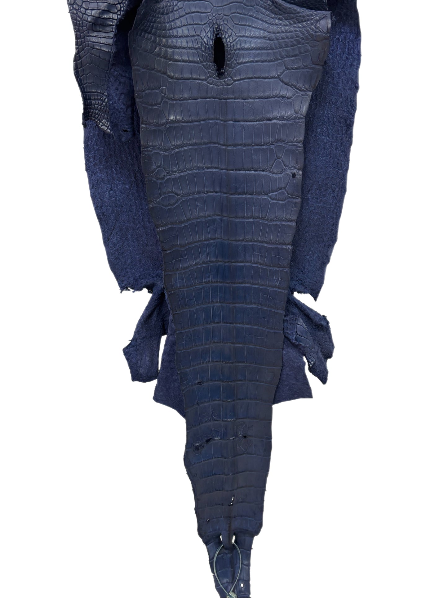 35 cm Grade 1/2 Navy Blue Desert Wild American Alligator Leather - Tag: LA16-0026636