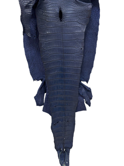 35 cm Grade 1/2 Navy Blue Desert Wild American Alligator Leather - Tag: LA16-0026636