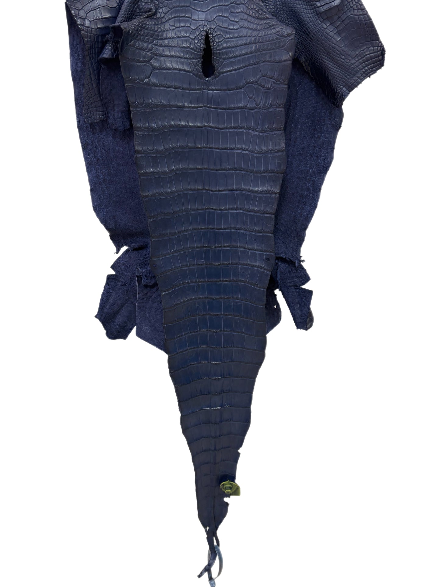 37 cm Grade 1/2 Navy Blue Desert Wild American Alligator Leather - Tag: LA17-0013239