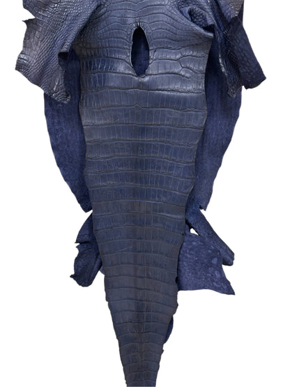 45 cm Grade 4/5 Navy Blue Desert Wild American Alligator Leather - Tag: LA24-0040013