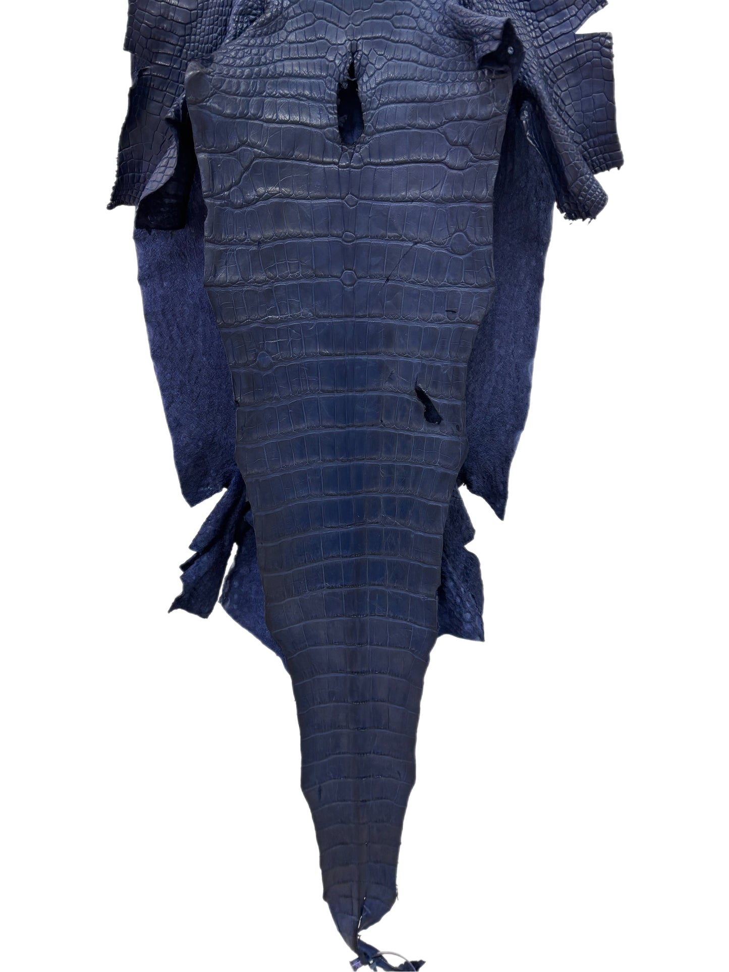 38 cm Grade 3/4 Navy Blue Desert Wild American Alligator Leather - Tag: LA24-0017386