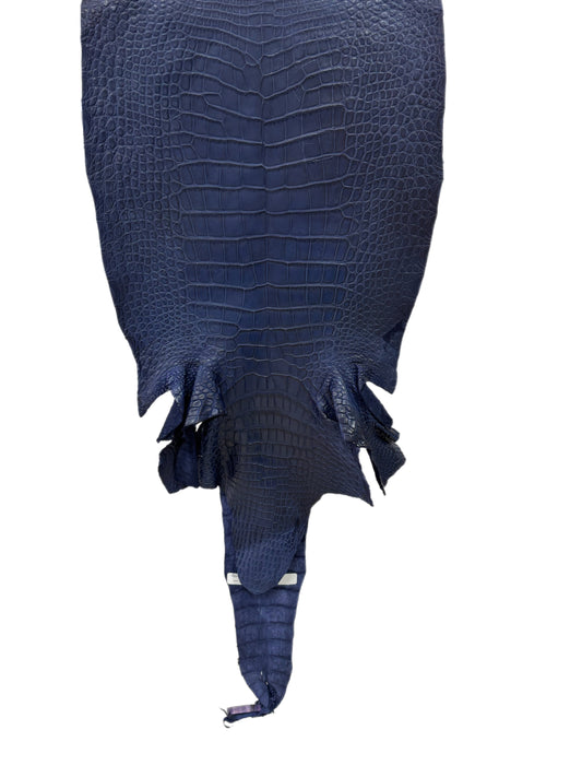 38 cm Grade 3/4 Navy Blue Desert Wild American Alligator Leather - Tag: LA24-0017386
