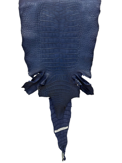 38 cm Grade 2/3 Navy Blue Desert Wild American Alligator Leather - Tag: LA16-0036674