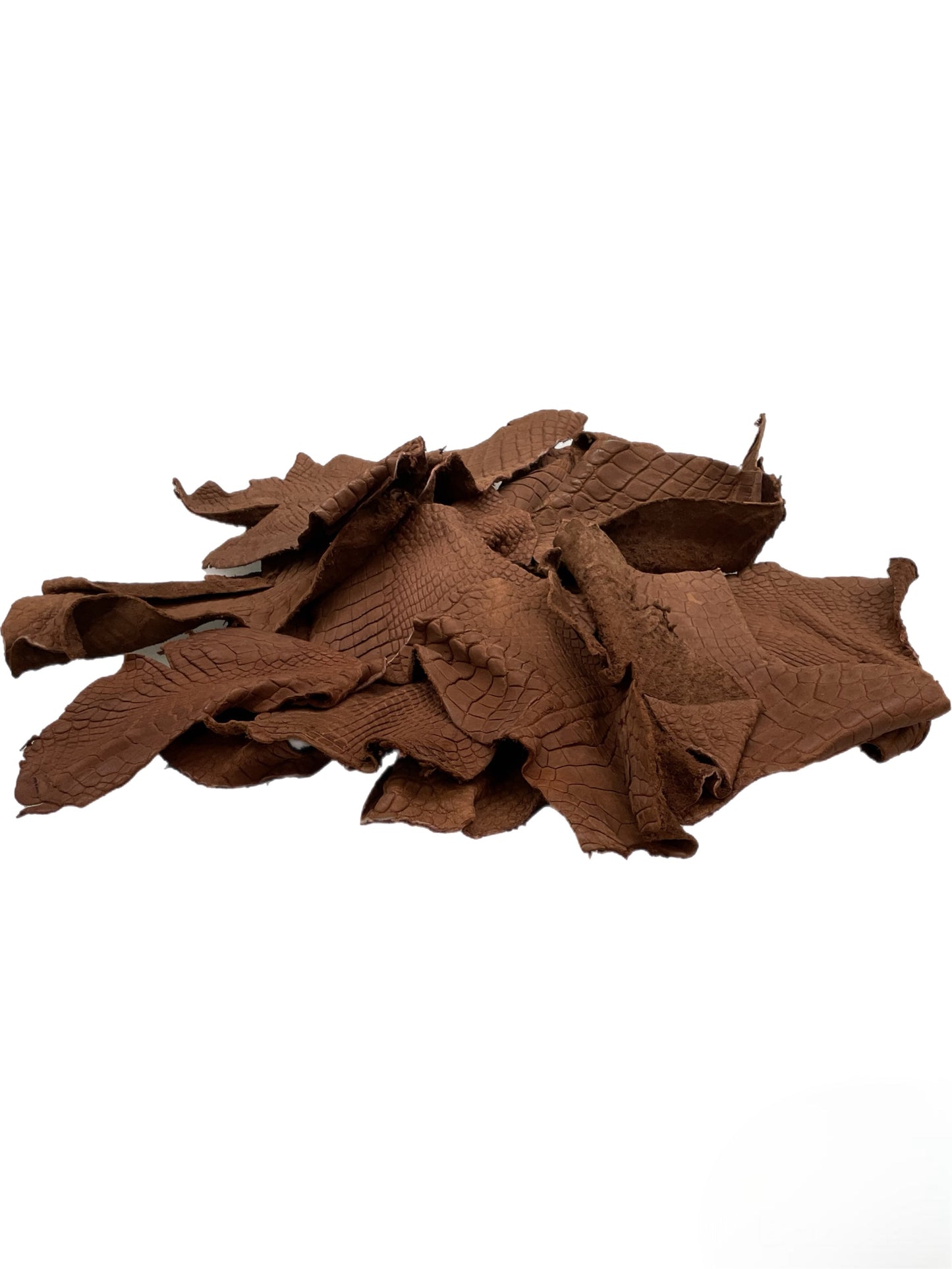 Genuine Alligator Leather Scraps Per Pound - Unfinished Kango Tabac
