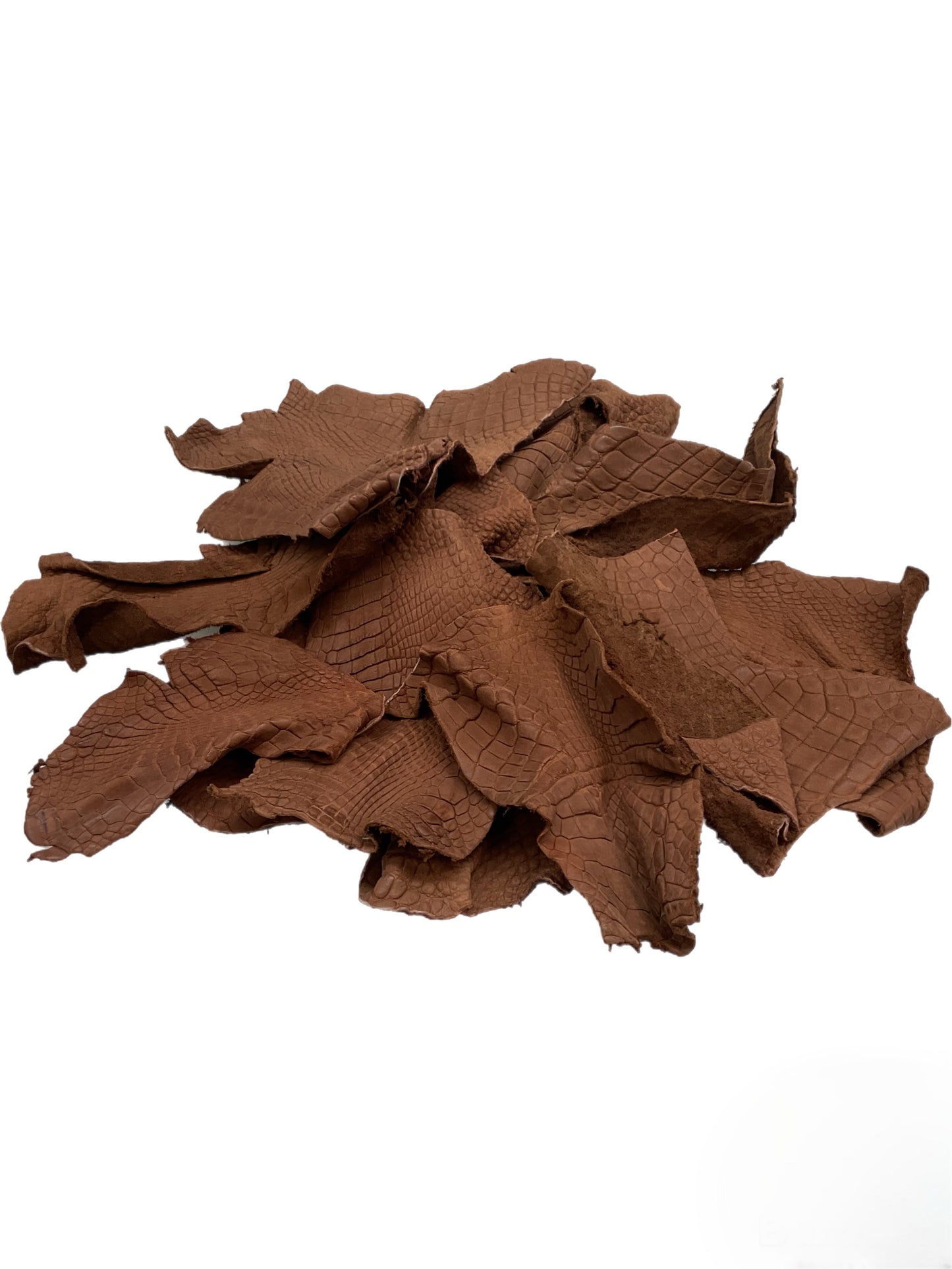 Genuine Alligator Leather Scraps Per Pound - Unfinished Kango Tabac