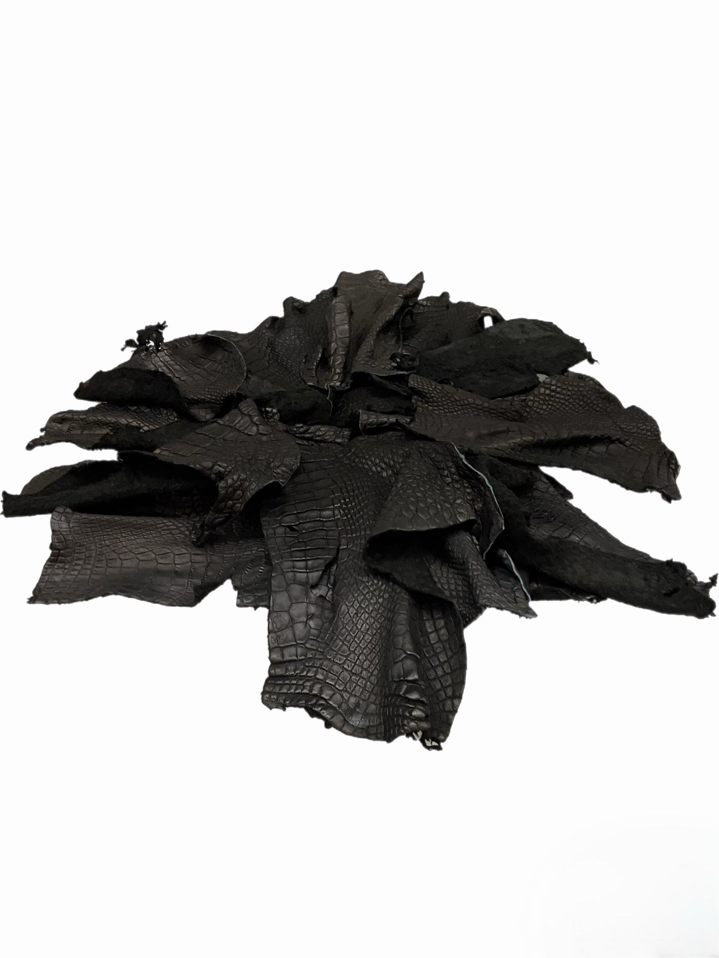 Genuine Alligator Leather Scraps Per Pound - Unfinished Black