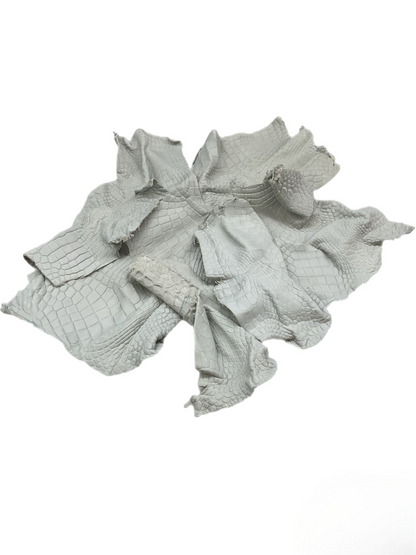Genuine Alligator Leather Scraps Per Pound - Crust (Undyed) Medium Size Pieces