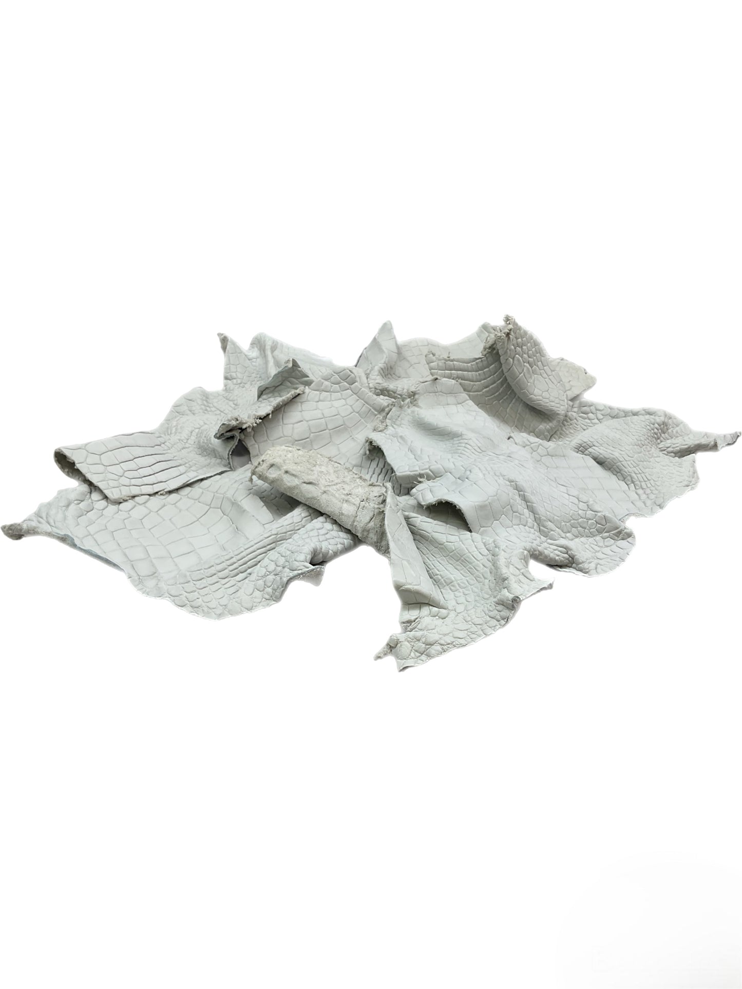 Genuine Alligator Leather Scraps Per Pound - Crust (Undyed) Medium Size Pieces