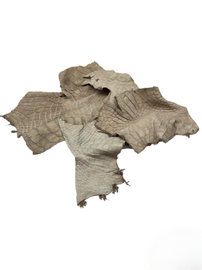 Genuine Alligator Leather Scraps Per Pound - Tan Large Size Pieces