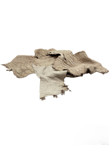 Genuine Alligator Leather Scraps Per Pound - Tan Large Size Pieces