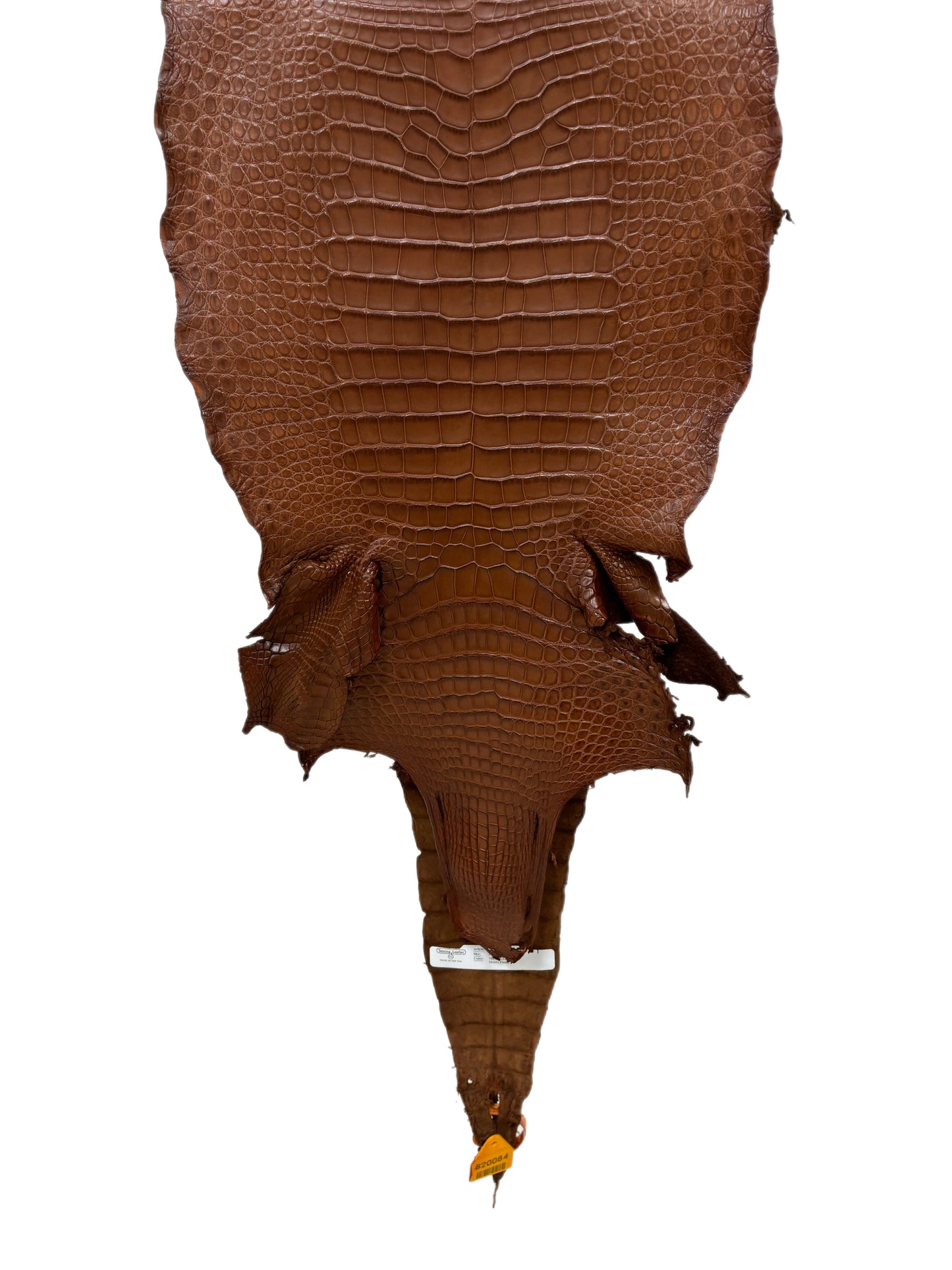 35 cm Grade 1/2 Cigar Matte Wild American Alligator Leather - Tag: LA17-0035380