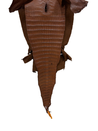 35 cm Grade 2/3 Cigar Matte Farm-Raised American Alligator Leather - Tag: FL16-0031997