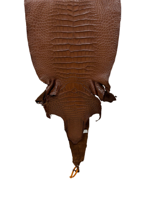 35 cm Grade 2/3 Cigar Matte Farm-Raised American Alligator Leather - Tag: FL16-0031997