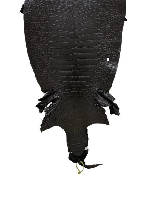 38 cm Grade 2/3 Black Matte Wild American Alligator Leather - Tag: LA22-0002231