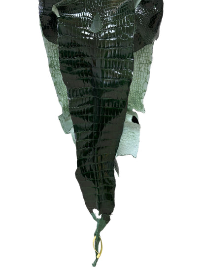 36 cm Grade 2/3 Forest Green Glazed Wild American Alligator Leather - Tag: LA16-0010818