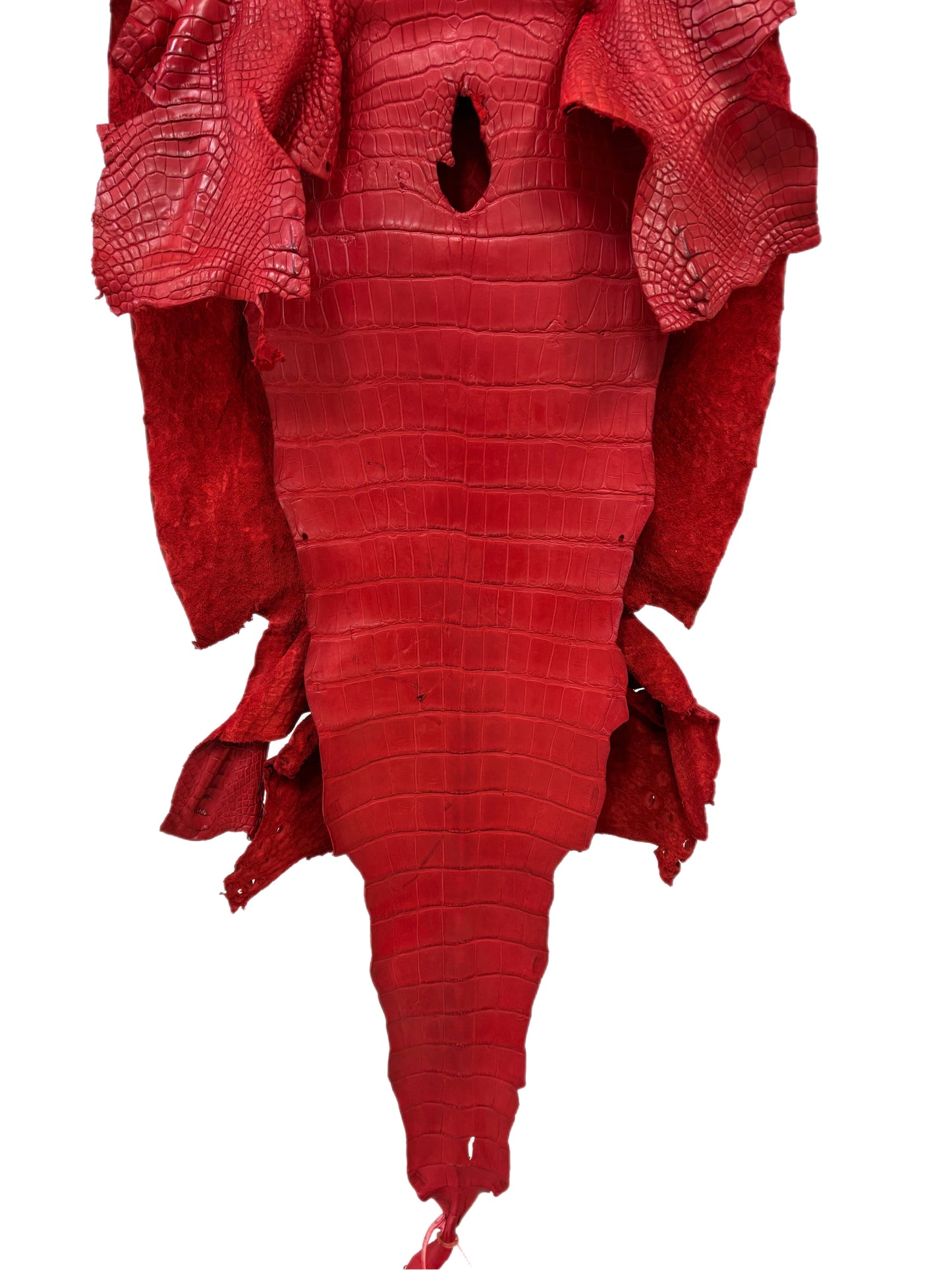 43 cm Grade 3/4 Candy Apple Red Matte Wild American Alligator Leather - Tag: LA24-0035662