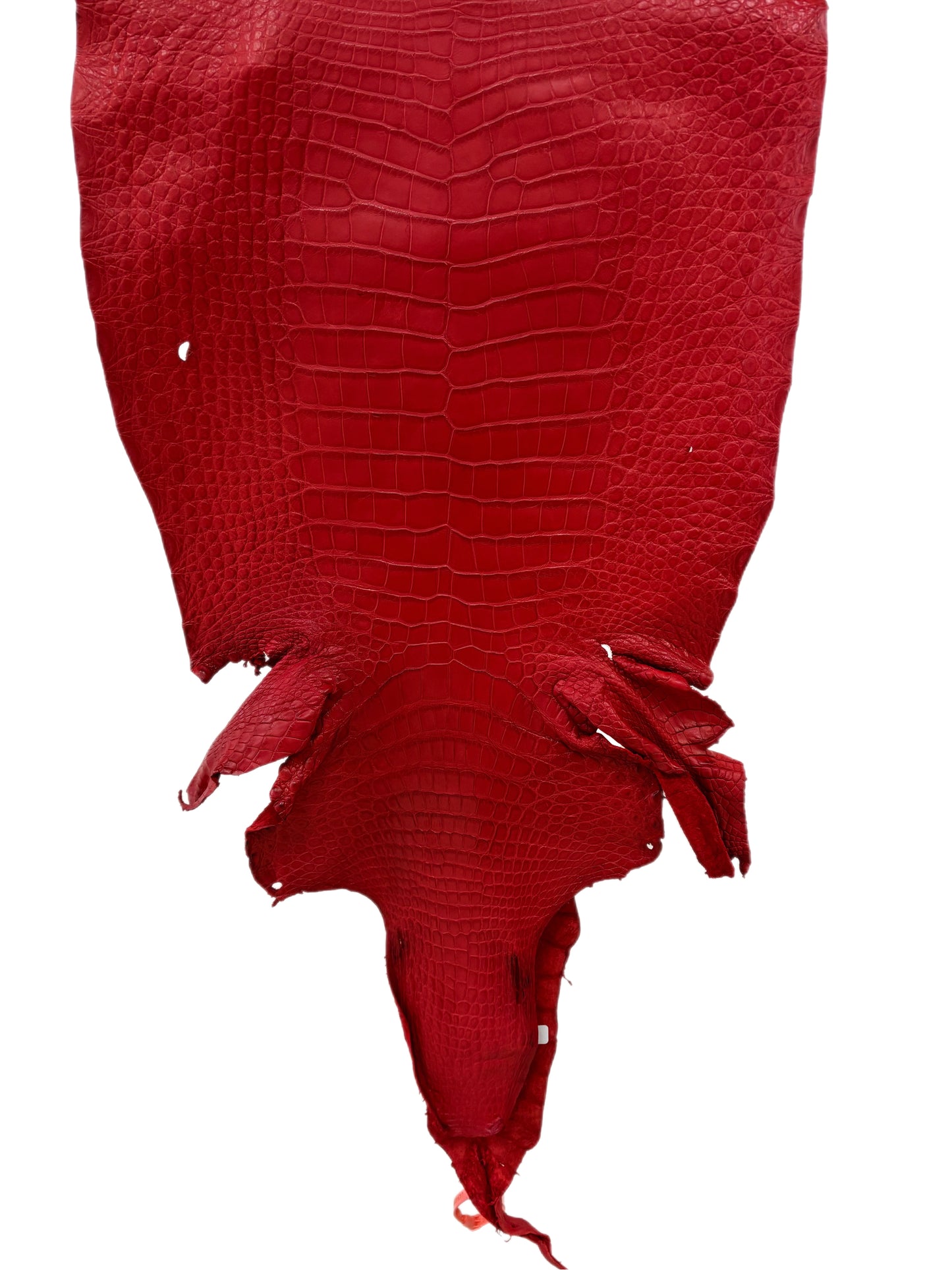 42 cm Grade 3/4 Candy Apple Red Matte Wild American Alligator Leather - Tag: LA24-0039956
