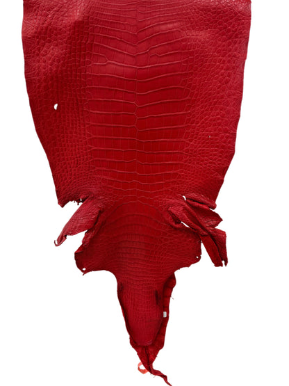 42 cm Grade 3/4 Candy Apple Red Matte Wild American Alligator Leather - Tag: LA24-0039956
