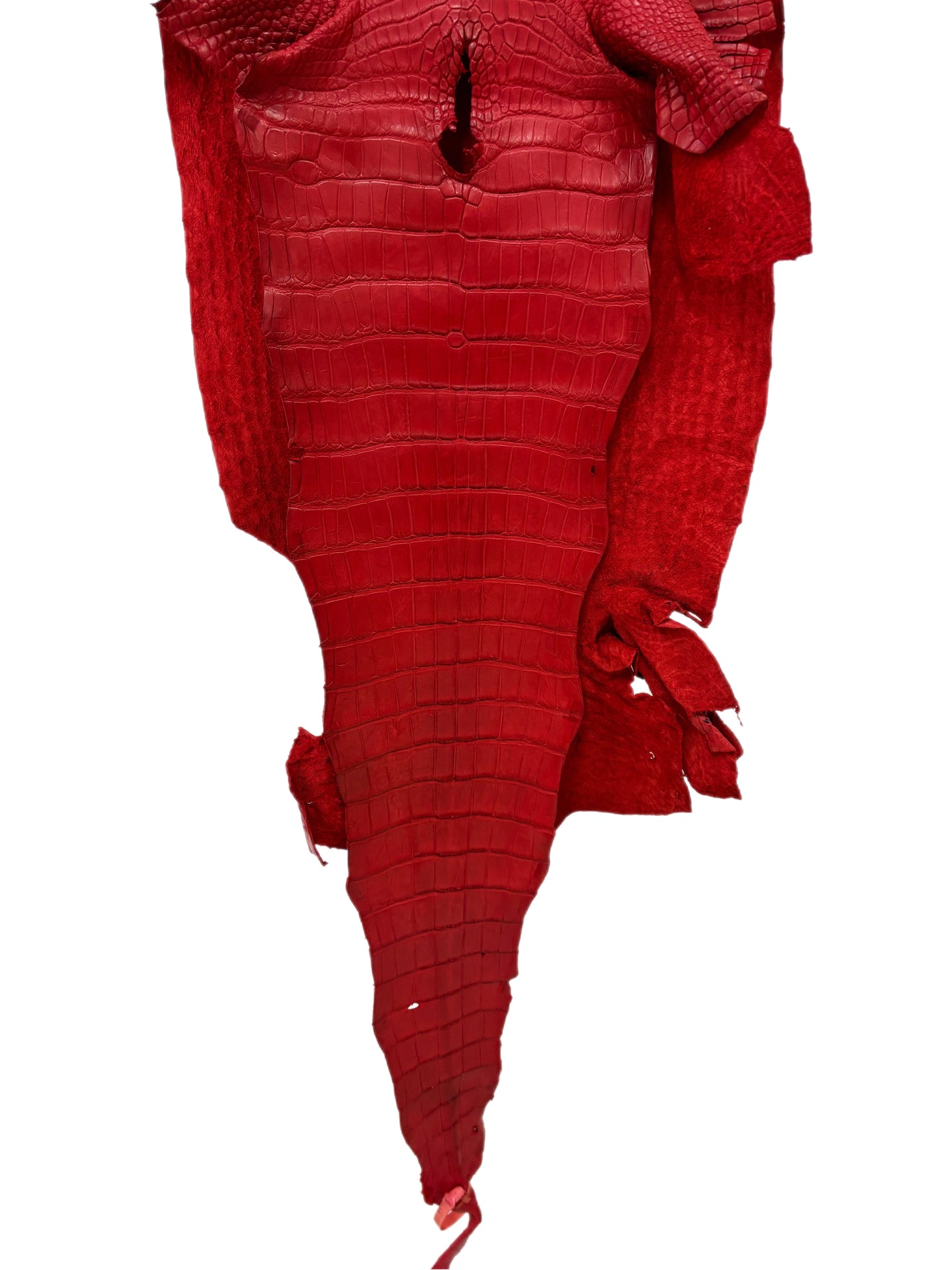 39 cm Grade 2/3 Candy Apple Red Matte Wild American Alligator Leather - Tag: LA24-0039963