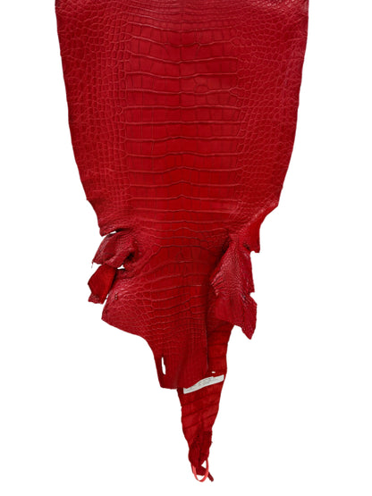 39 cm Grade 2/3 Candy Apple Red Matte Wild American Alligator Leather - Tag: LA24-0039963