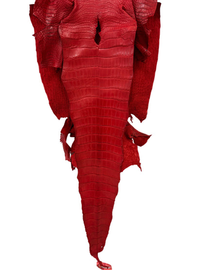 40 cm Grade 3/4 Candy Apple Red Matte Wild American Alligator Leather - Tag: LA24-0035289