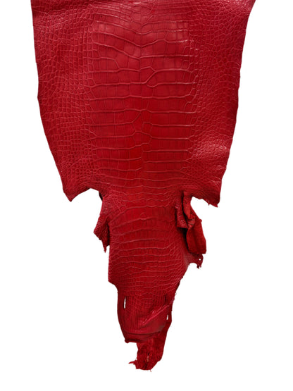 45 cm Grade 4/5 Candy Apple Red Matte Wild American Alligator Leather - Tag: LA24-0022361
