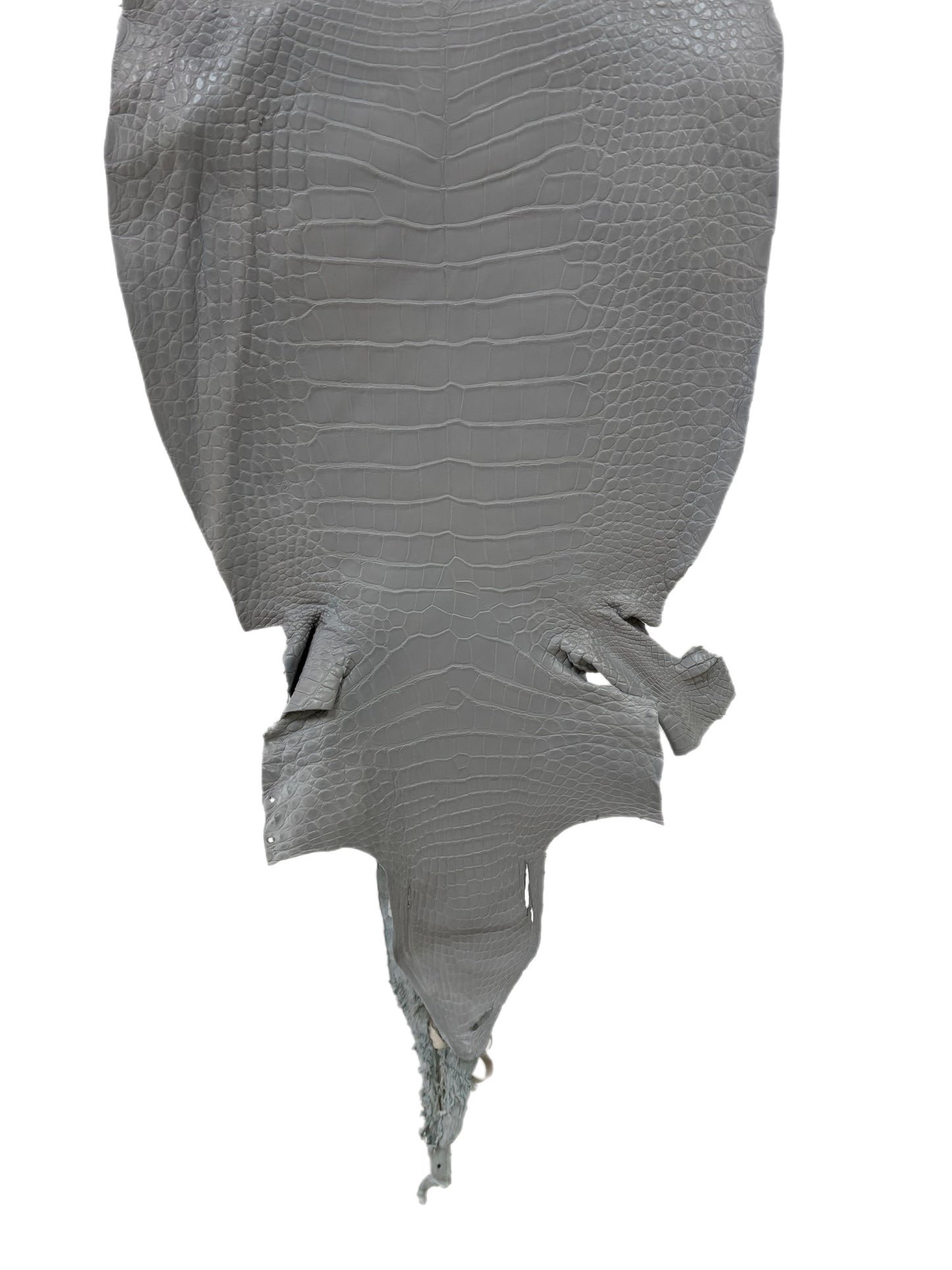 39 cm Grade 2/3 Glacier Matte Wild American Alligator Leather - Tag: LA23-0021513